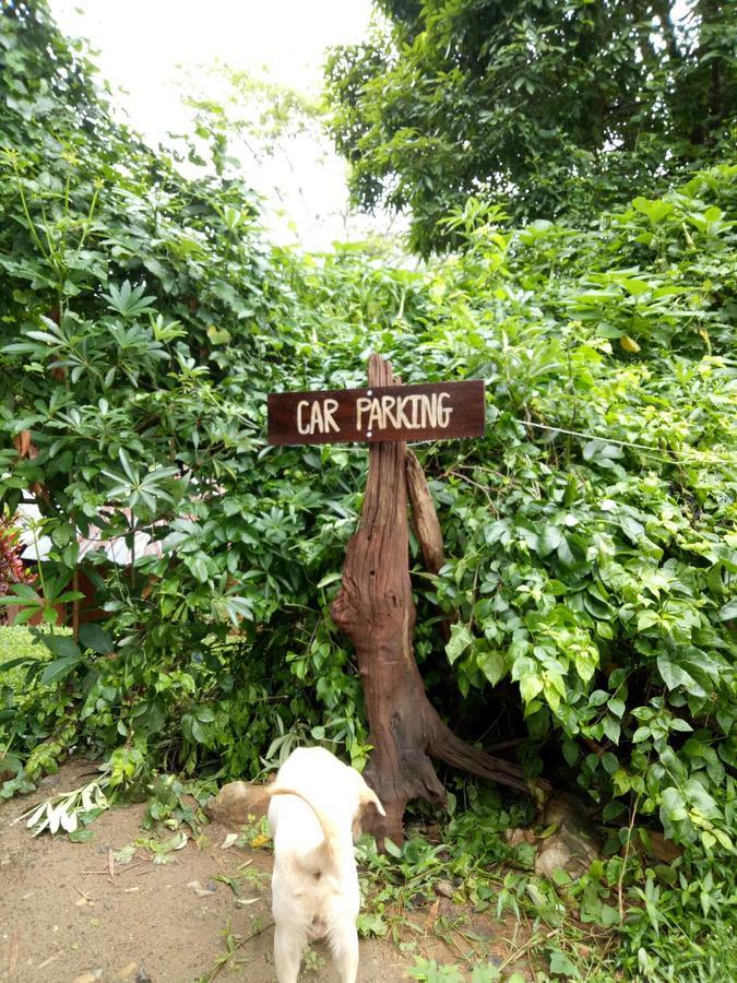 Cave Lodge Pang Mapha Luaran gambar
